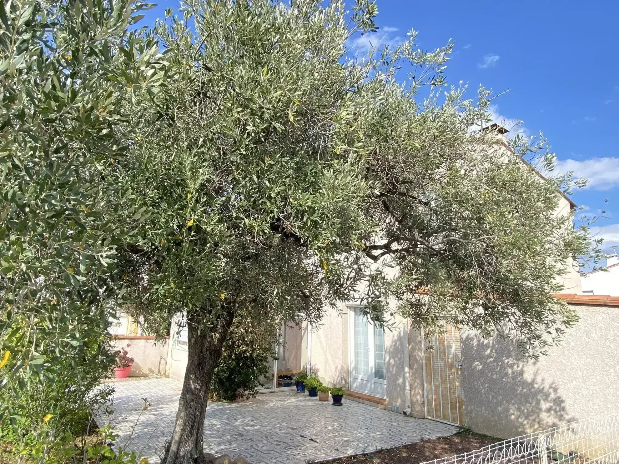 Villa 3 faces avec piscine à Saint-Estève 