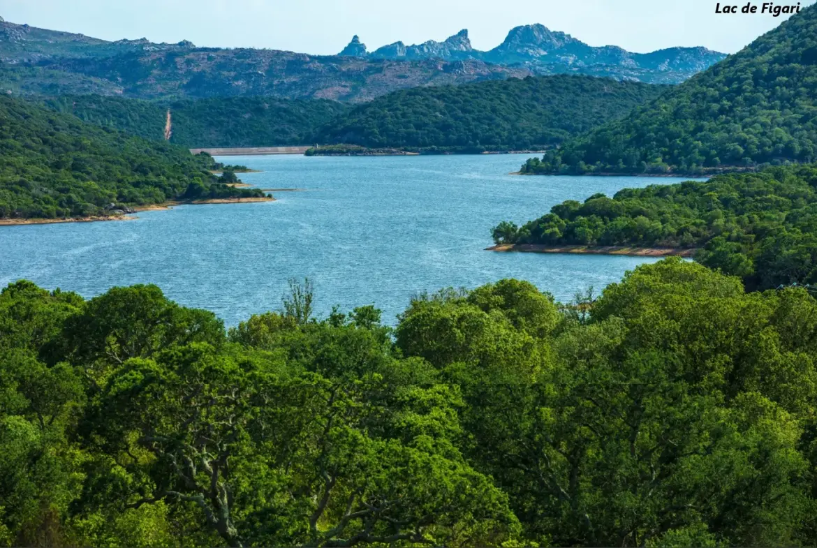 Dernières parcelles à bâtir à Figari - Vue imprenable 