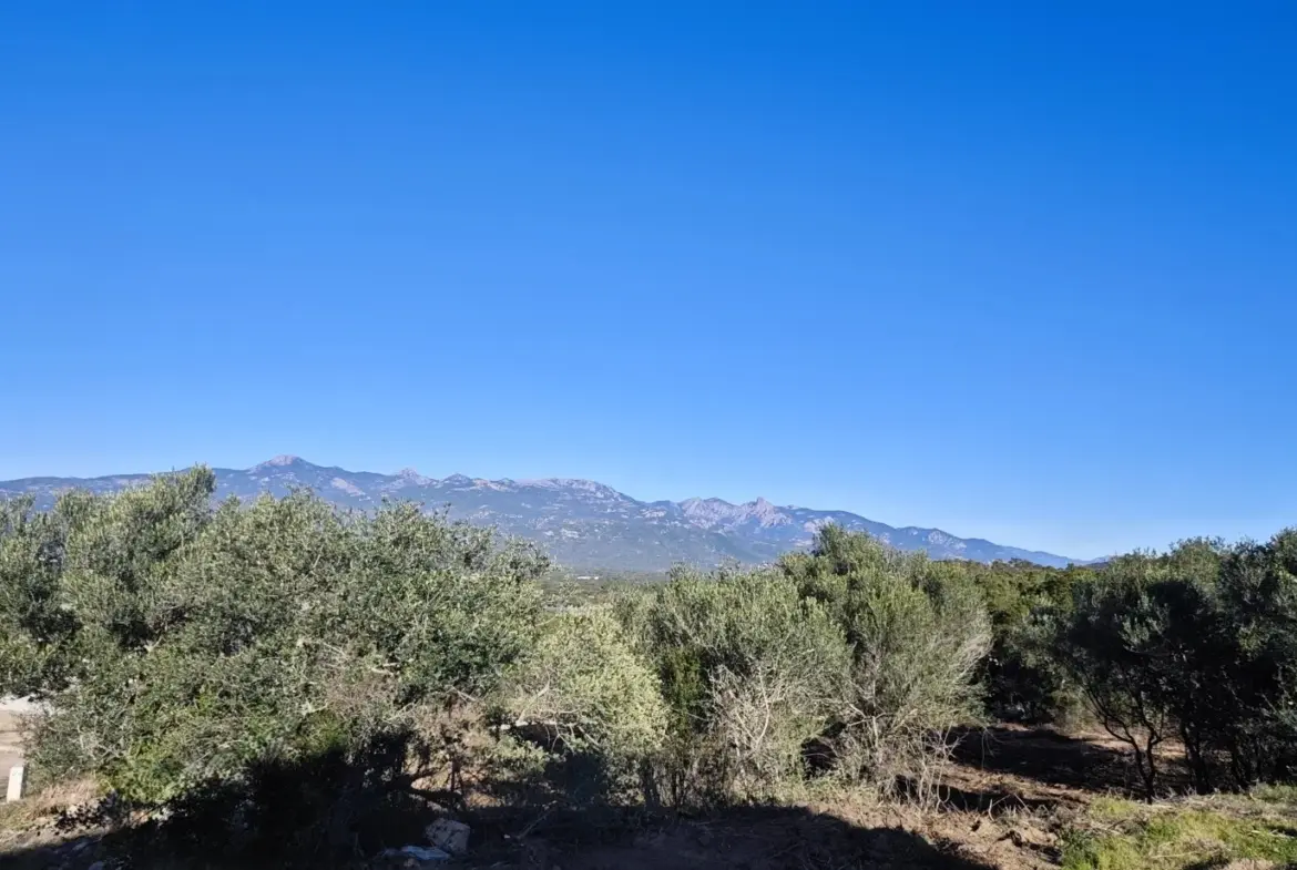 Dernières parcelles à bâtir à Figari - Vue imprenable 