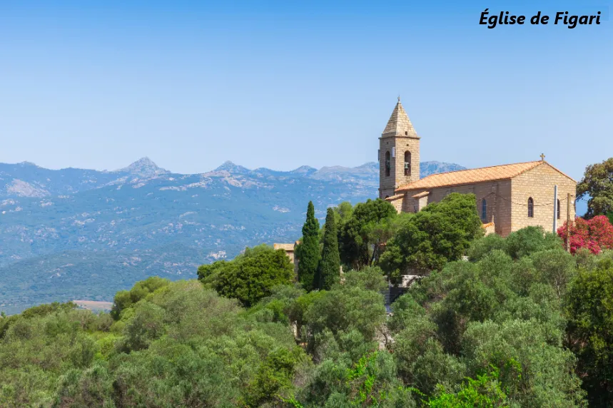 Dernières parcelles à bâtir à Figari - Vue imprenable 
