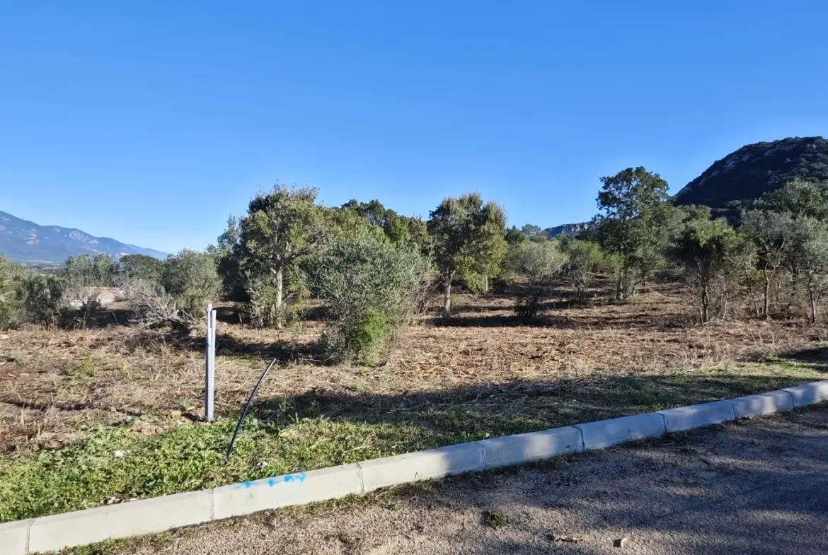 Dernières parcelles à bâtir à Figari - Vue imprenable 