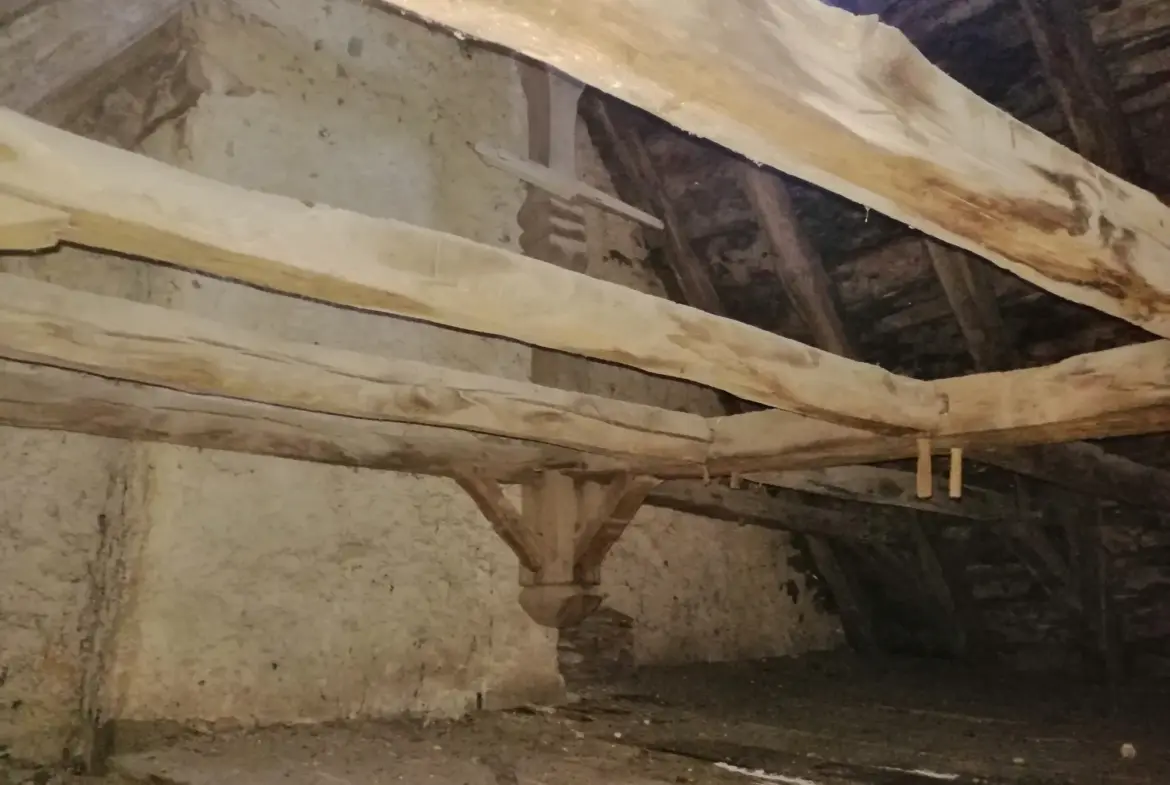 Maison à Pleaux - Investissement potentiel de 3 logements 