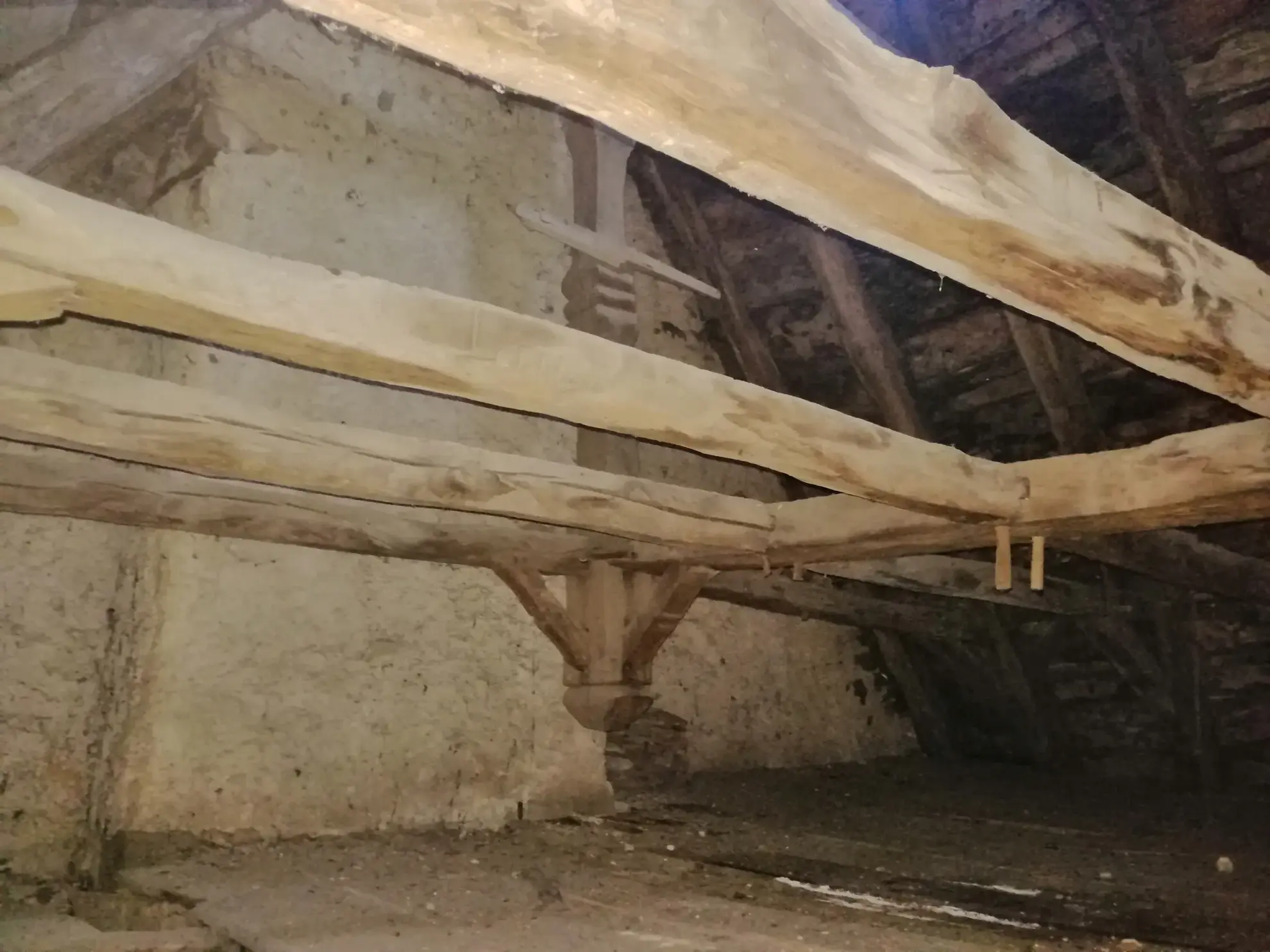 Maison à Pleaux - Investissement potentiel de 3 logements 