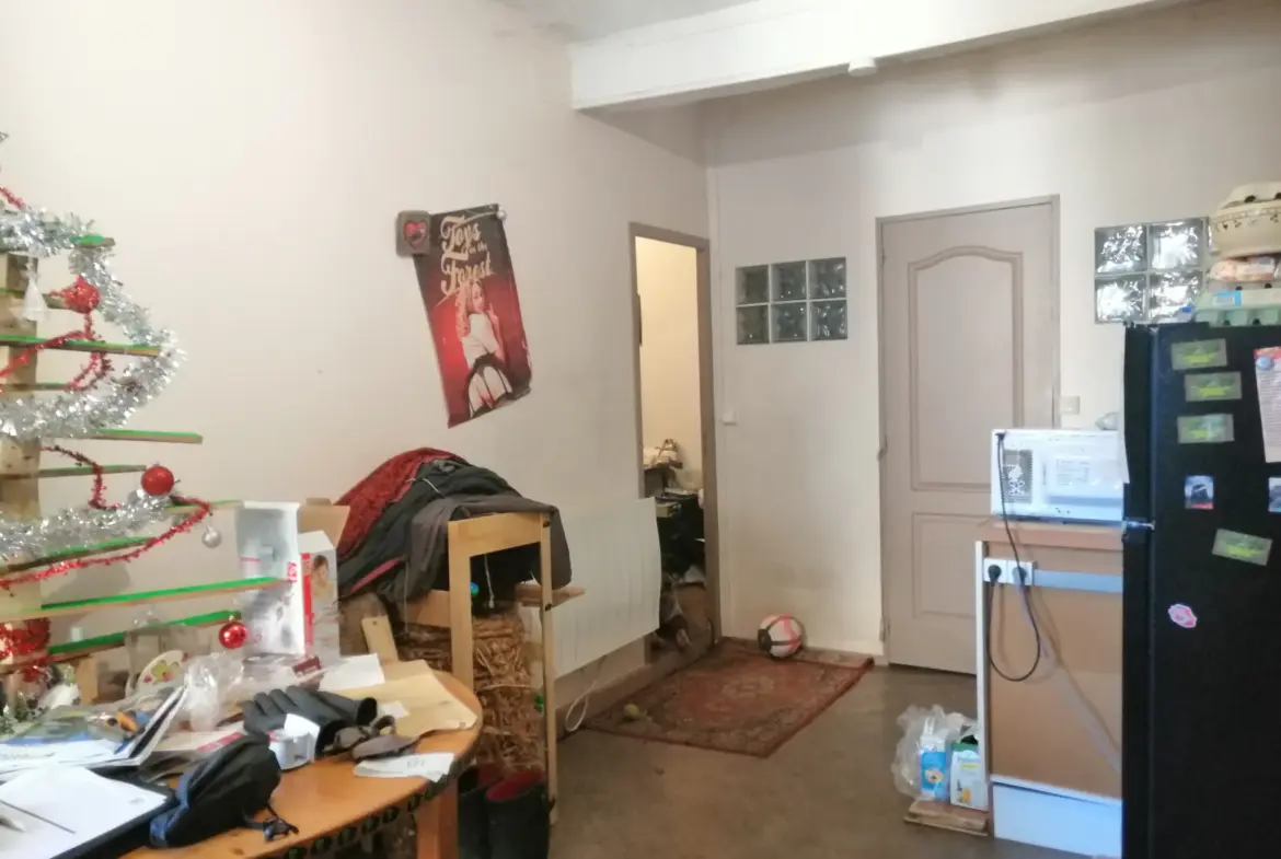 Maison à Pleaux - Investissement potentiel de 3 logements 