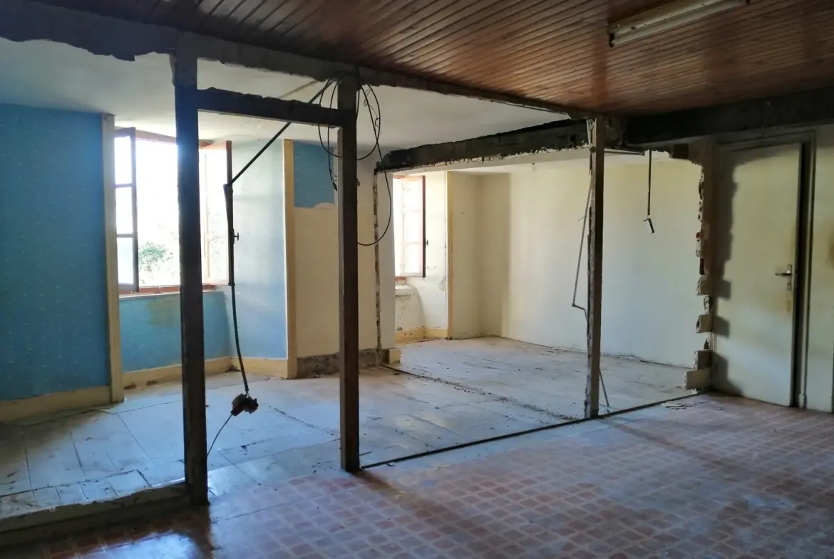 Maison à Pleaux - Investissement potentiel de 3 logements 