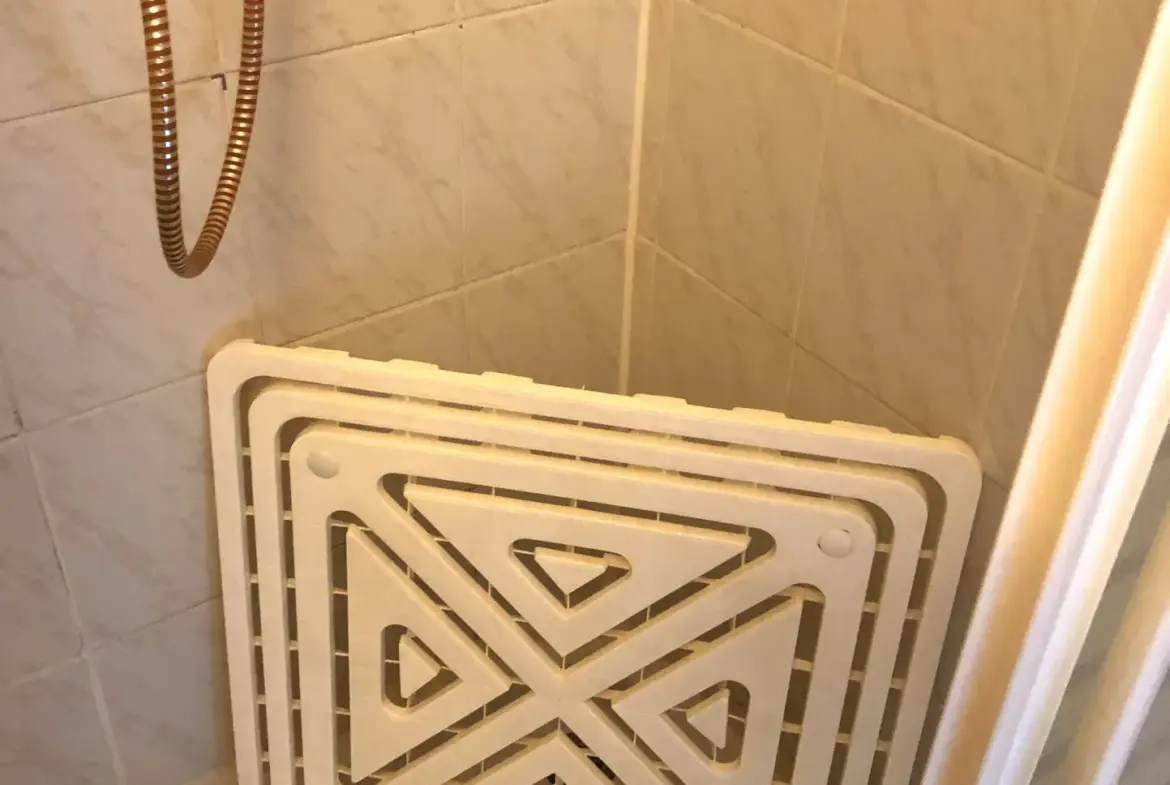 Immeuble locatif avec local commercial à Cusset 