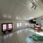 À vendre : Studio de 21,77 m² à Saint-Étienne - Idéal investisseur