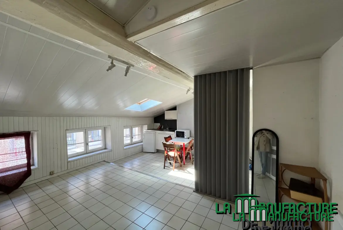 À vendre : Studio de 21,77 m² à Saint-Étienne - Idéal investisseur 