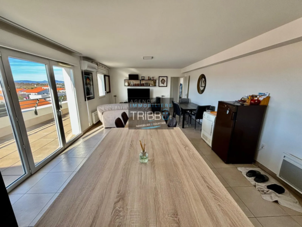 Appartement F3 avec terrasse et vue Canigou à Pollestres 