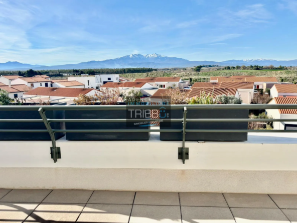 Appartement F3 avec terrasse et vue Canigou à Pollestres 