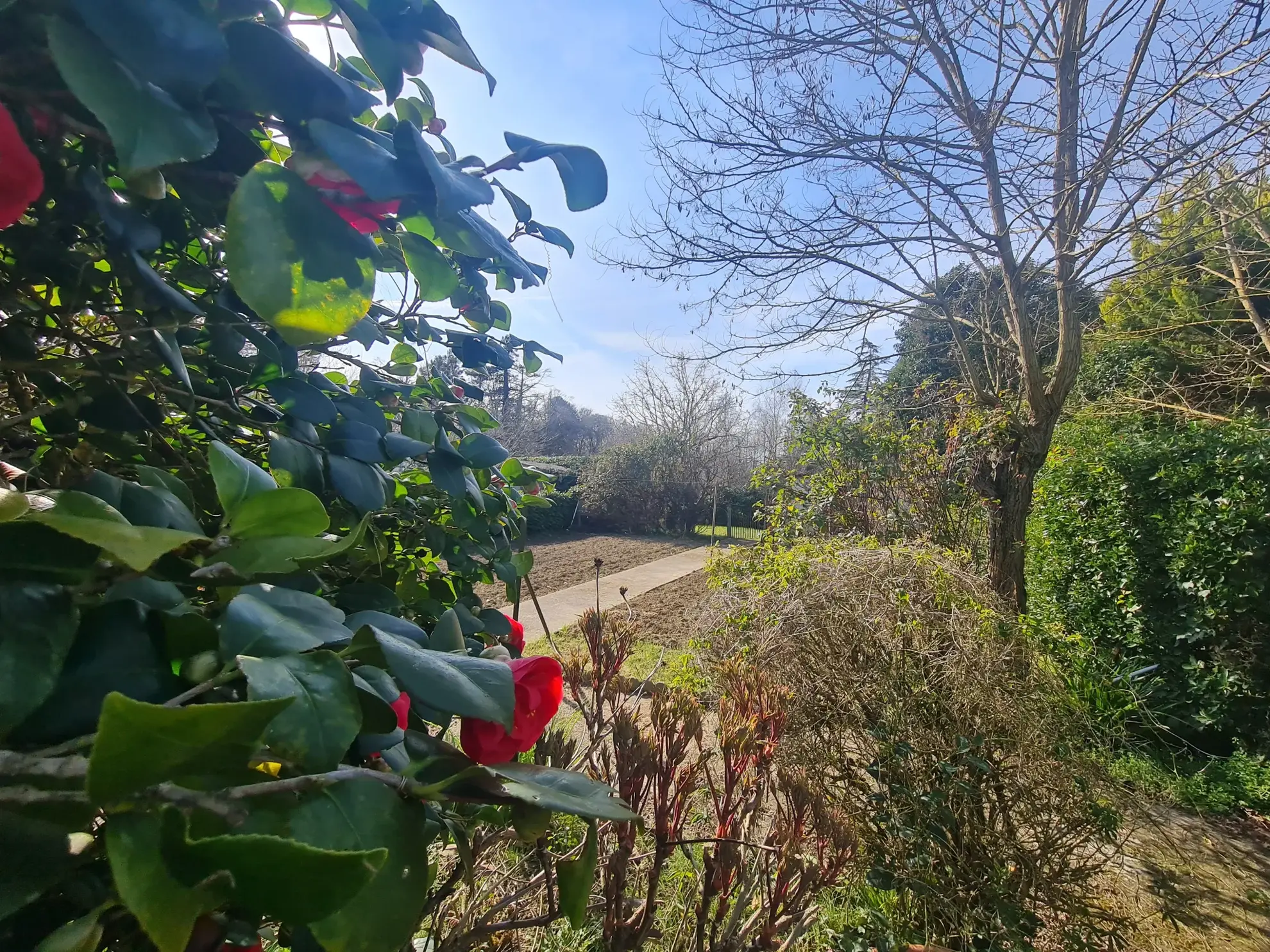 Maison T4 avec Garage et Jardin à Saint-Sulpice-sur-Lèze 