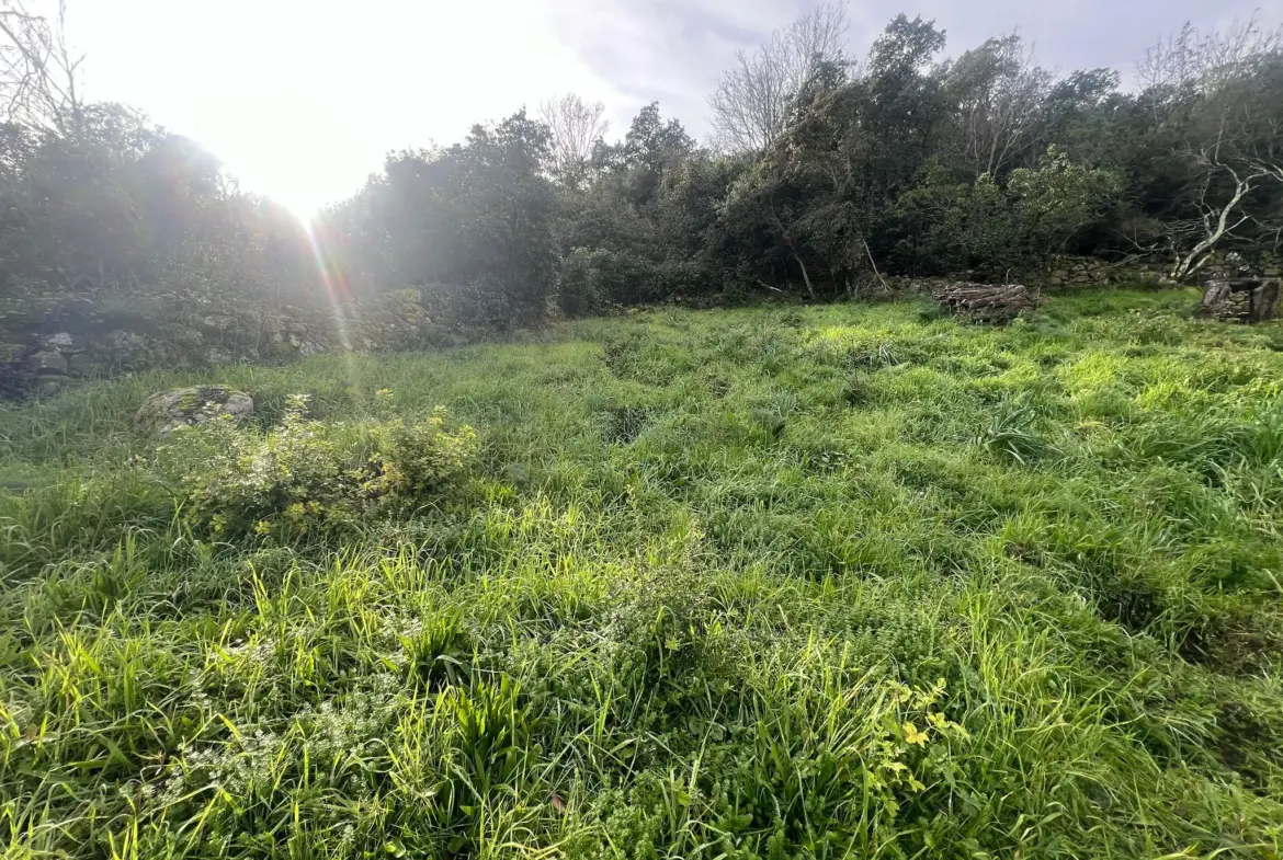Vente de Terrain avec Vue Mer à Sari Solenzara - 1193 m2 