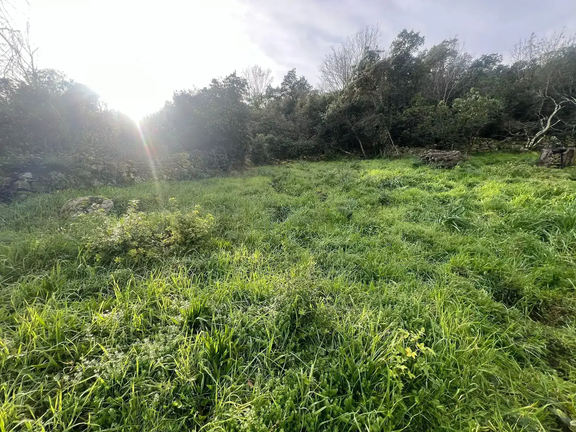 Vente de Terrain avec Vue Mer à Sari Solenzara - 1193 m2 