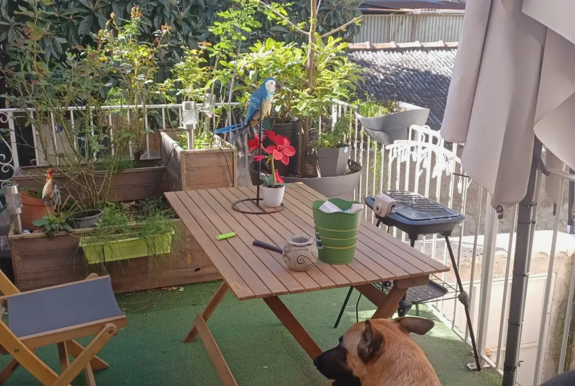 Maison de village sur 3 niveaux àLes Mées avec terrasse et potentiel d'agrandissement 
