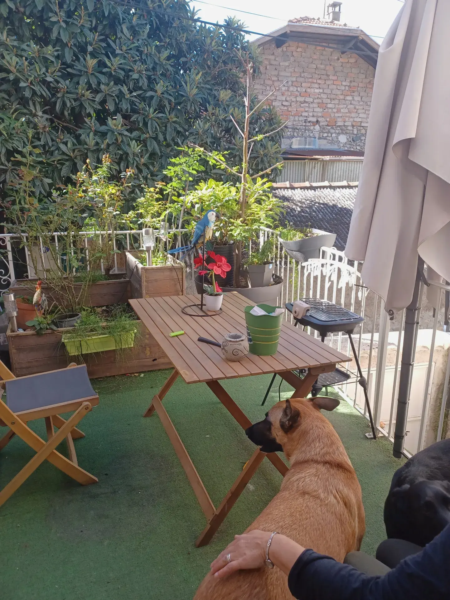 Maison de village sur 3 niveaux àLes Mées avec terrasse et potentiel d'agrandissement 