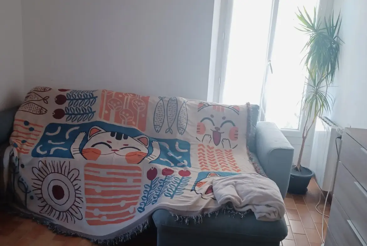 Maison de village sur 3 niveaux àLes Mées avec terrasse et potentiel d'agrandissement 