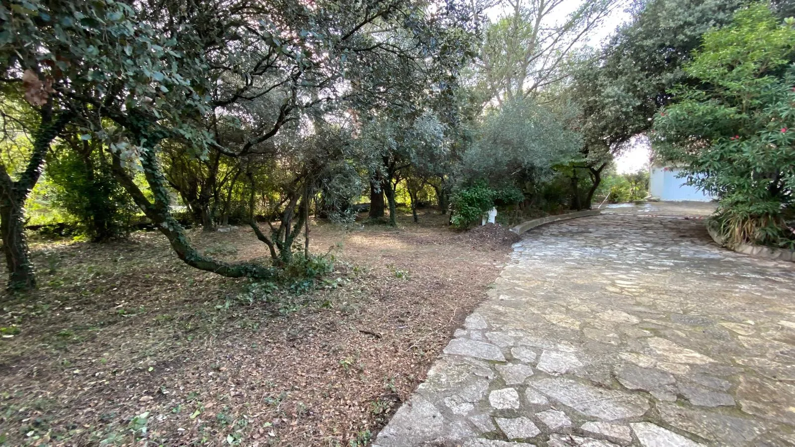 Terrain constructible à Villevieille de 659 m² en vente 