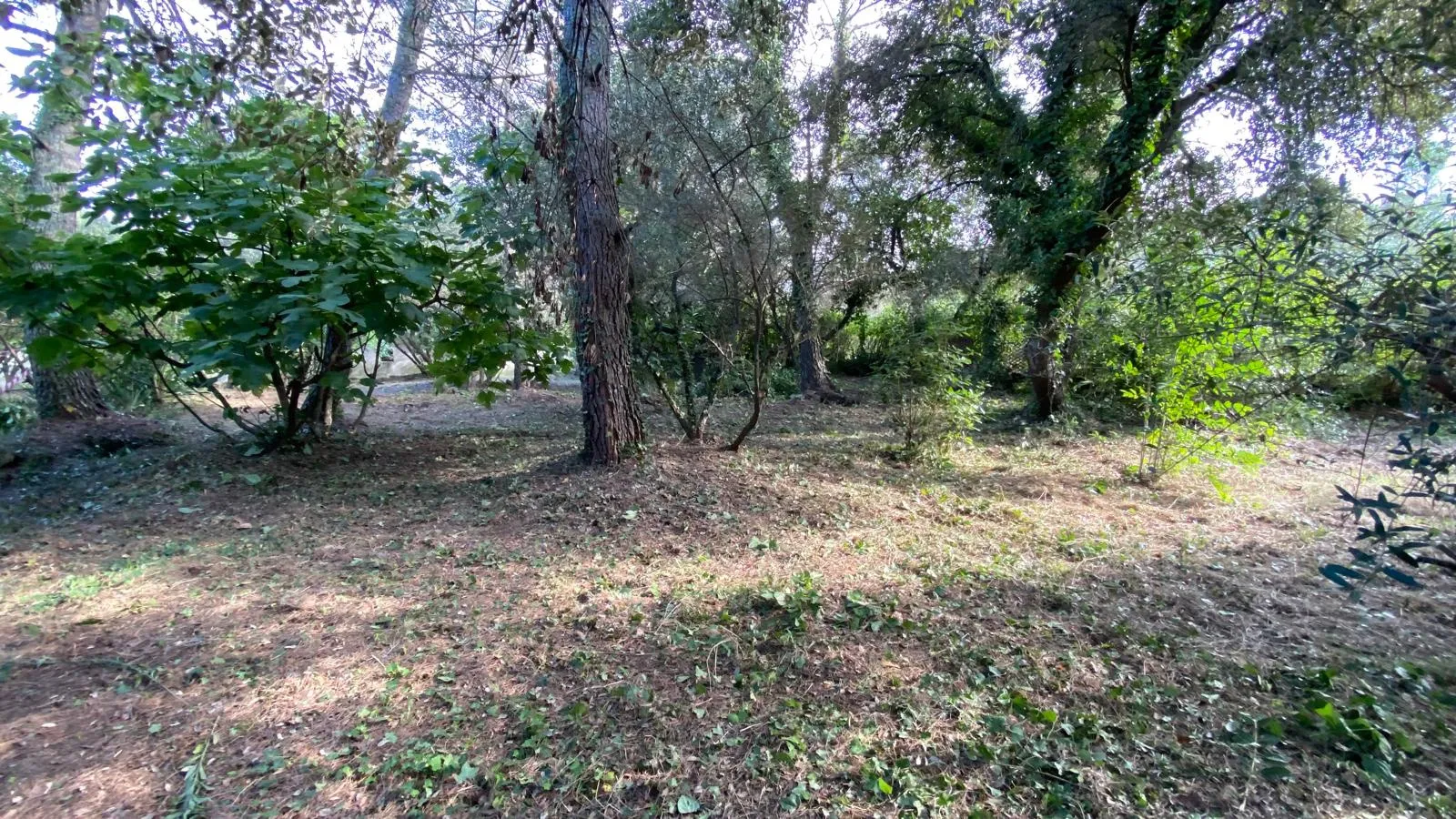 Terrain constructible à Villevieille de 659 m² en vente 