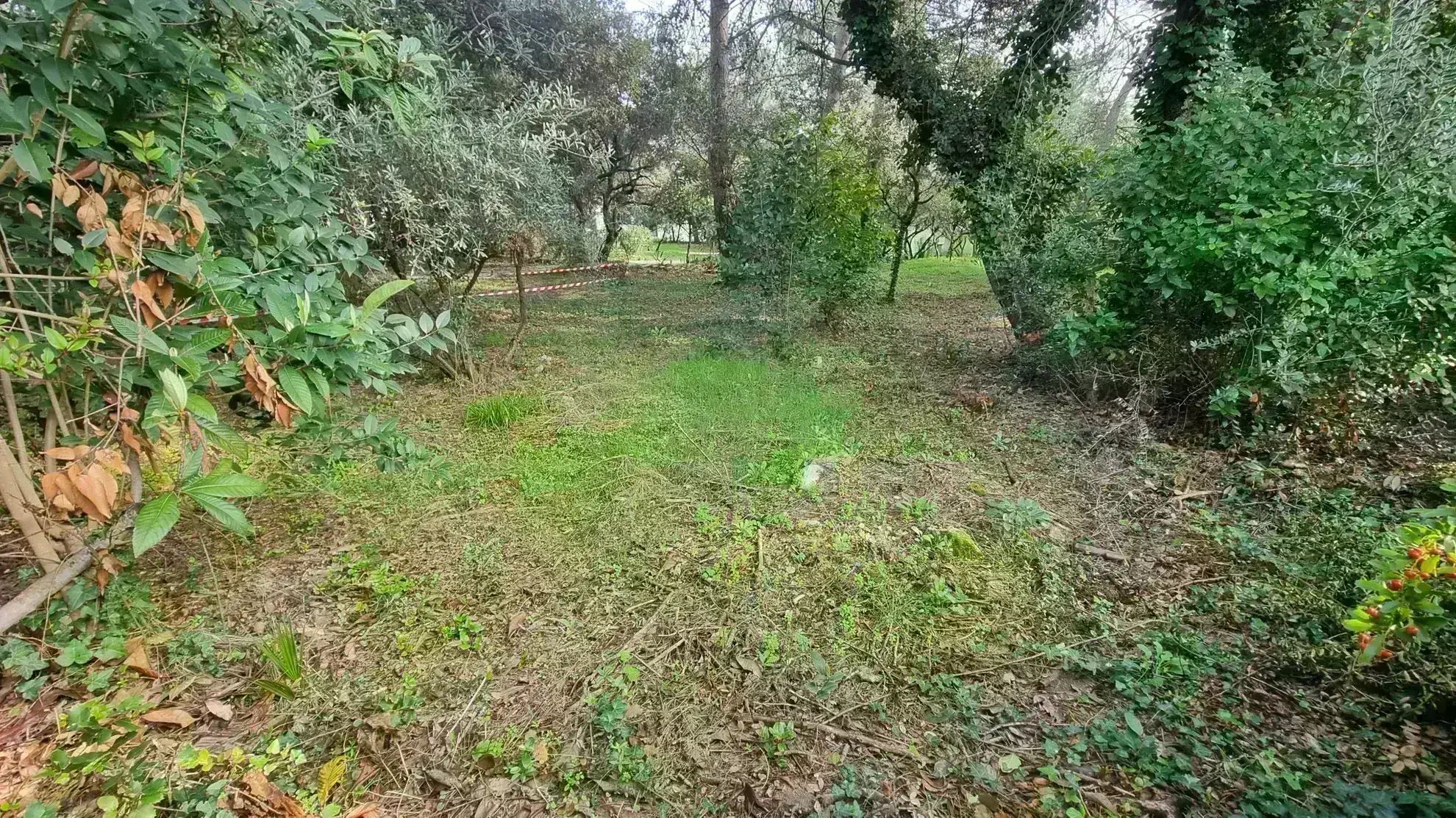 Terrain constructible à Villevieille de 659 m² en vente 