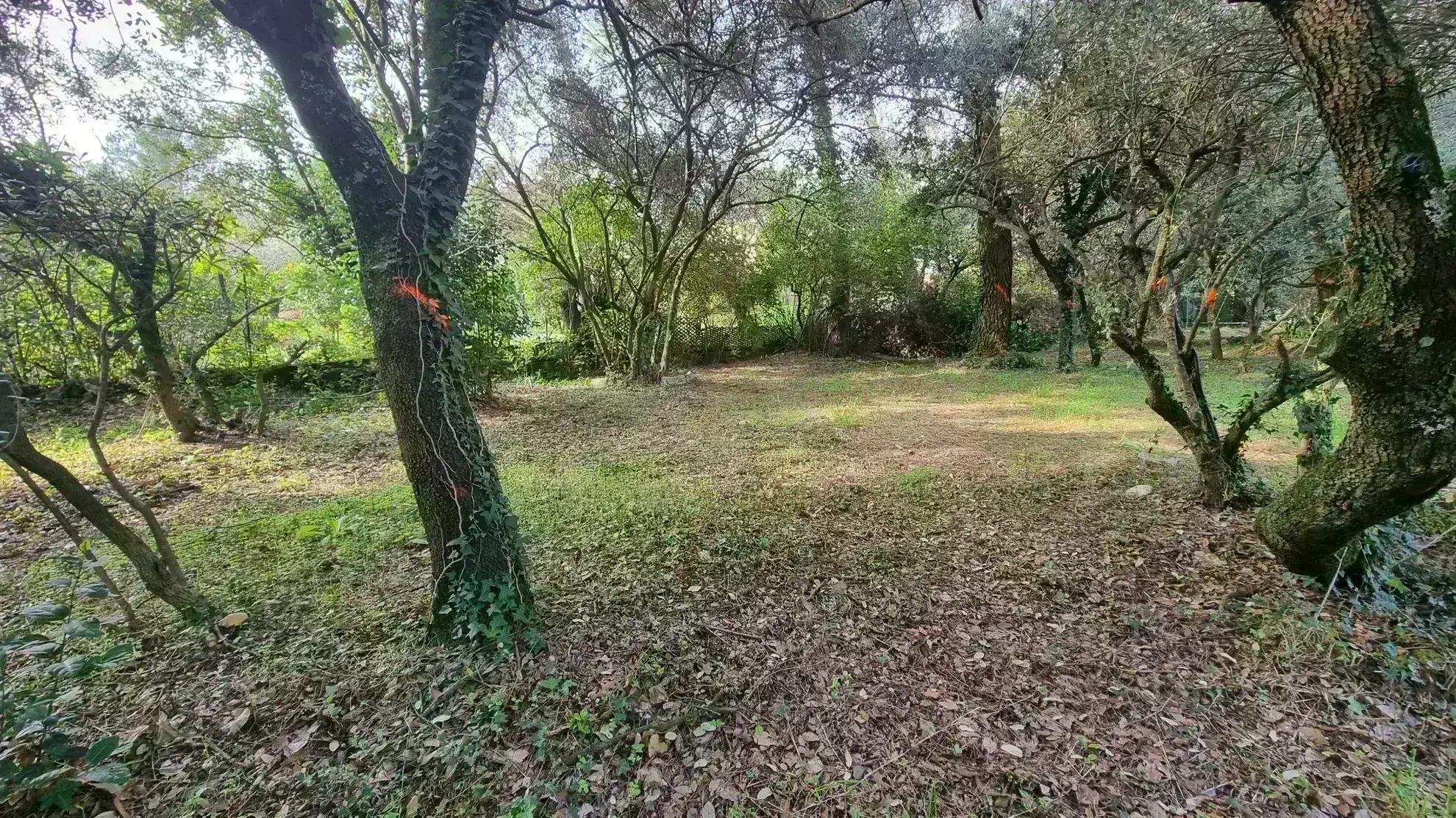 Terrain constructible à Villevieille de 659 m² en vente 
