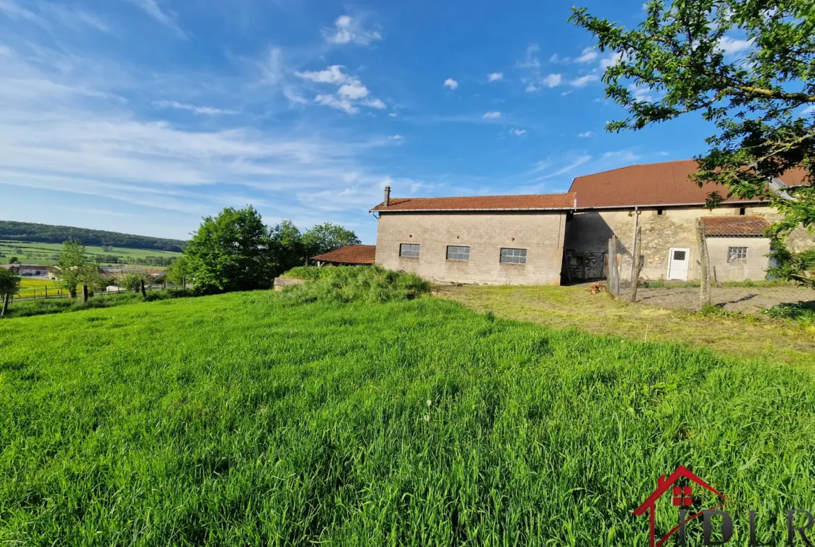 Maison authentique à vendre à Tollaincourt 