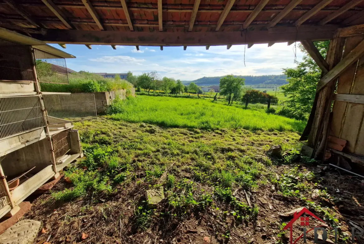 Maison authentique à vendre à Tollaincourt 