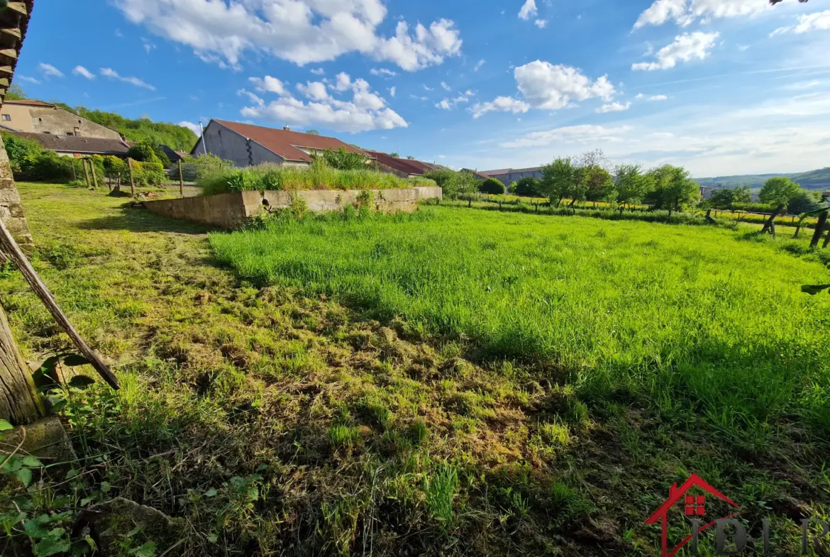Maison authentique à vendre à Tollaincourt 