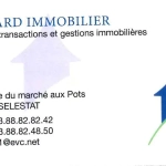 IMMO-CESARD_1