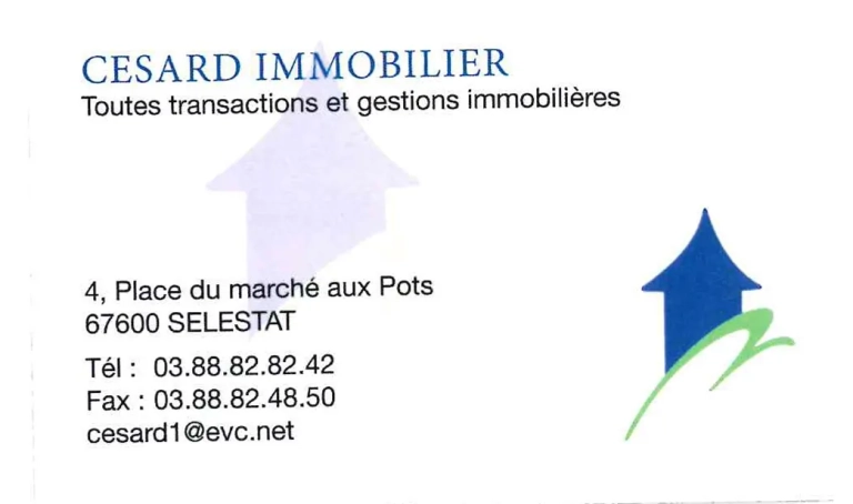 AGENCE IMMO-CESARD_1