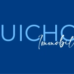 GUICHOT-IMMO_1