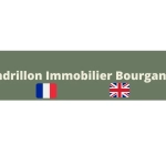 CENDRILLONIMMOBILIER_1
