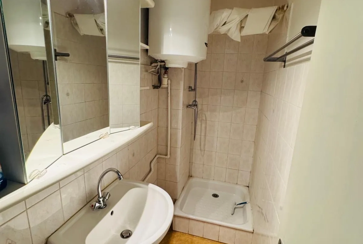 Appartement F3 à Grenoble Aigle, 52 m² avec balcon et stationnement à proximité 