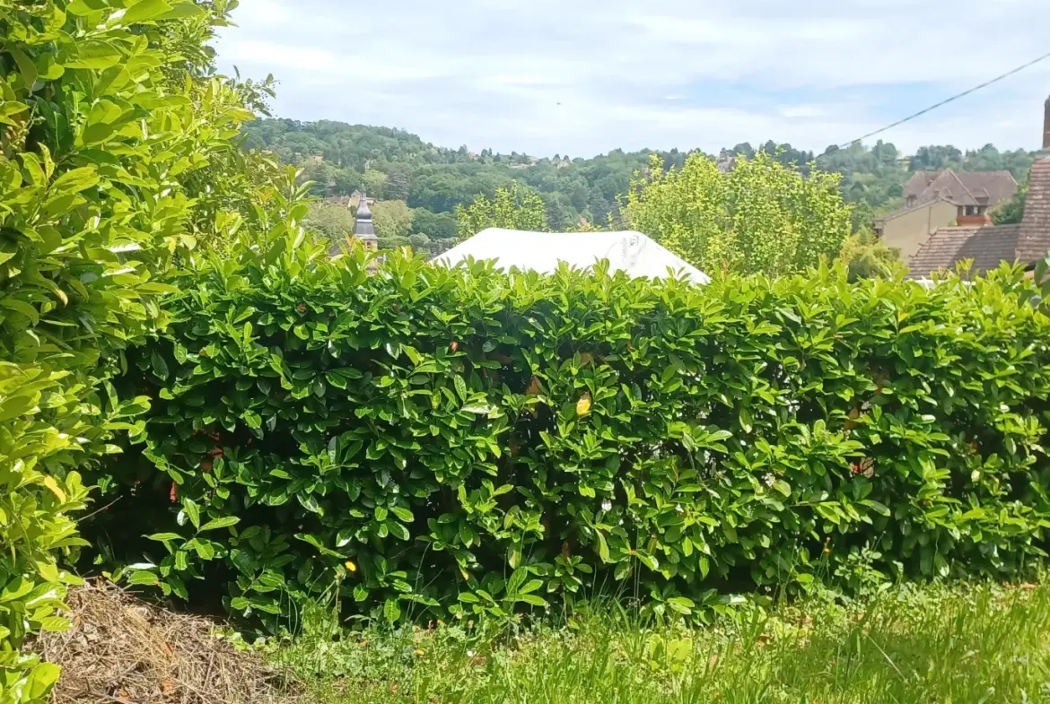 Maison à rénover à Sarlat, proche du centre-ville historique avec jardin et potentiel de division 