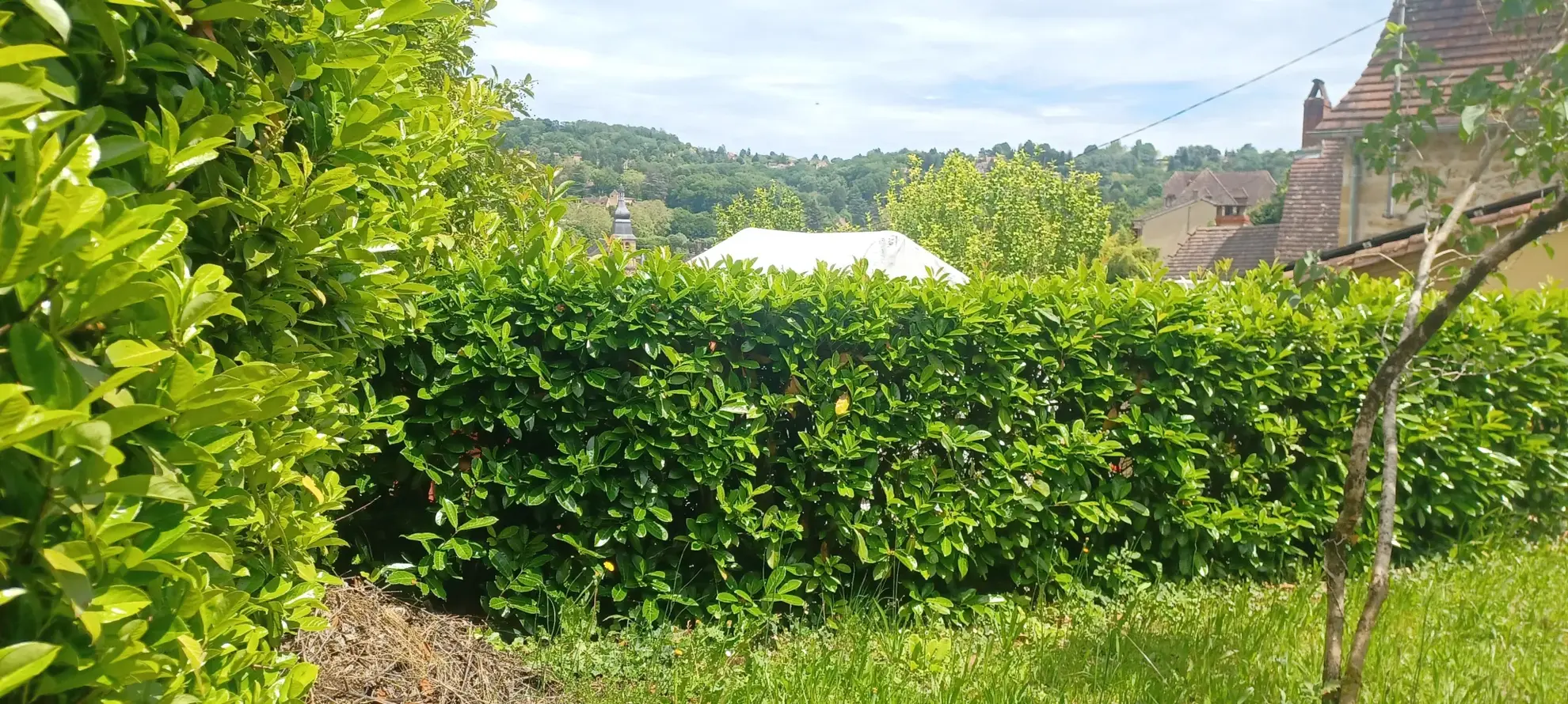 Maison à rénover à Sarlat, proche du centre-ville historique avec jardin et potentiel de division 