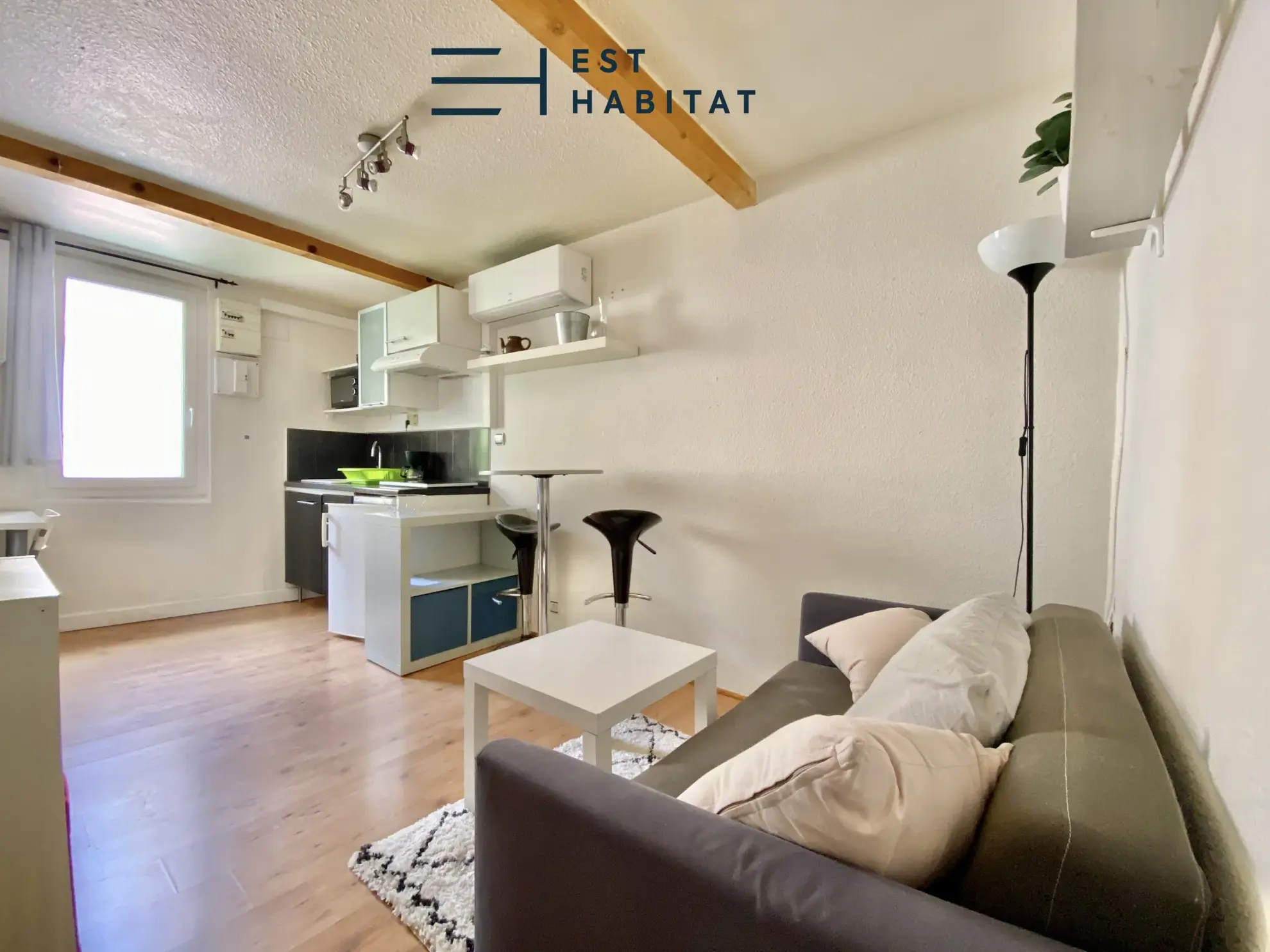 Investissement immobilier à Toulouse Côté Pavée - Immeuble avec deux appartements 
