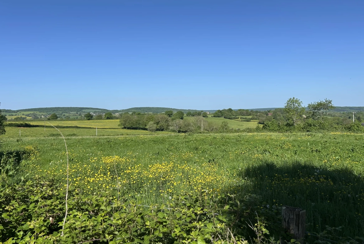 Maison à rénover avec grange et vue imprenable à Lurcy le Bourg 