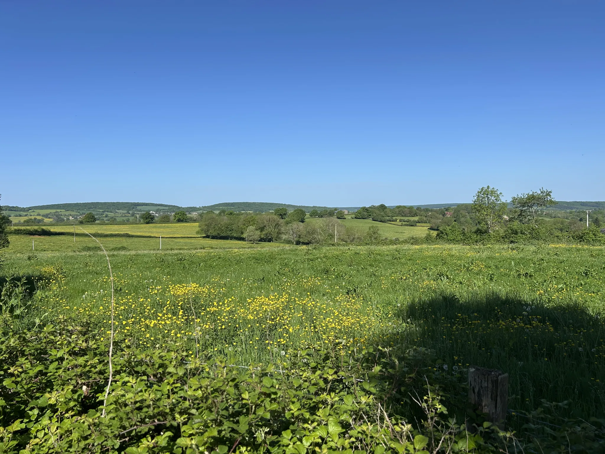 Maison à rénover avec grange et vue imprenable à Lurcy le Bourg 