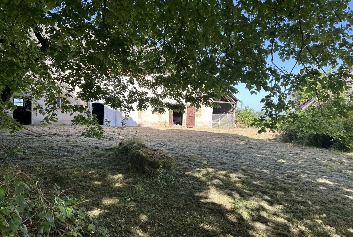 Maison à rénover avec grange et vue imprenable à Lurcy le Bourg 