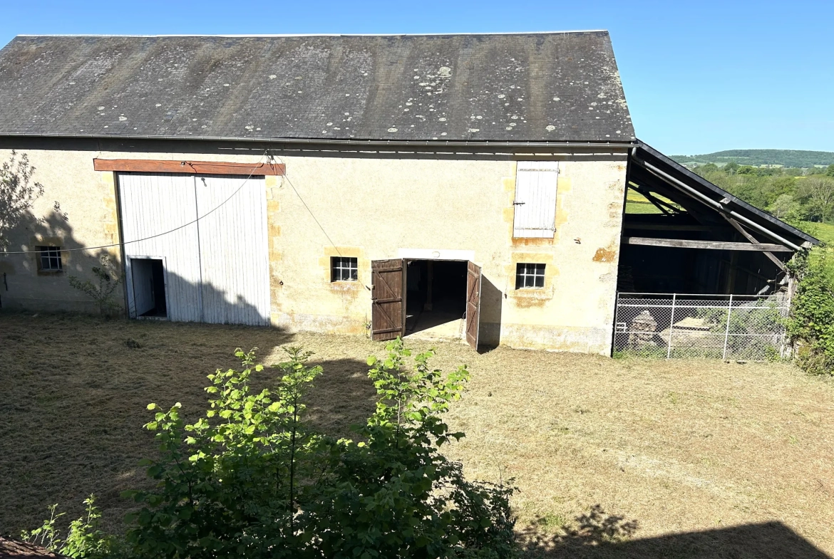 Maison à rénover avec grange et vue imprenable à Lurcy le Bourg 