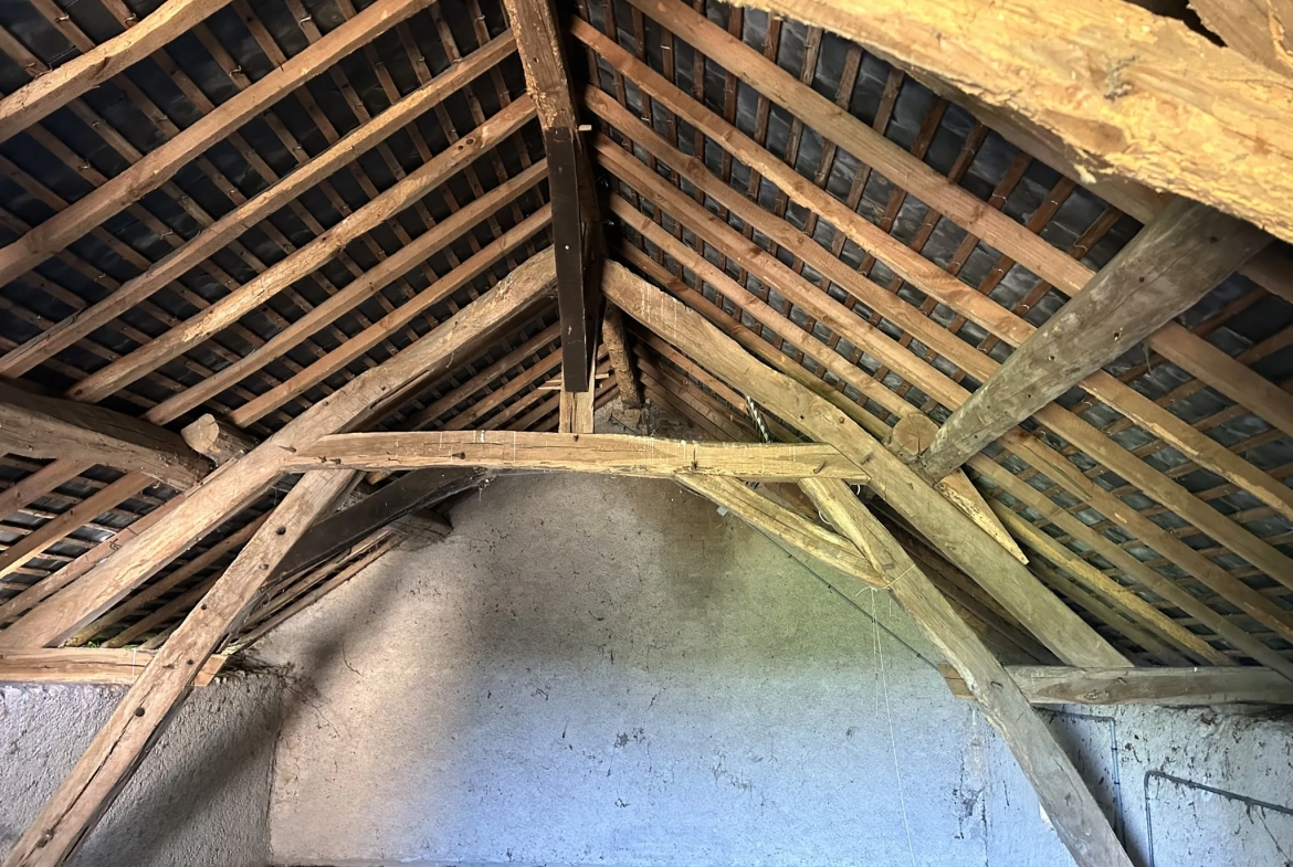 Maison à rénover avec grange et vue imprenable à Lurcy le Bourg 
