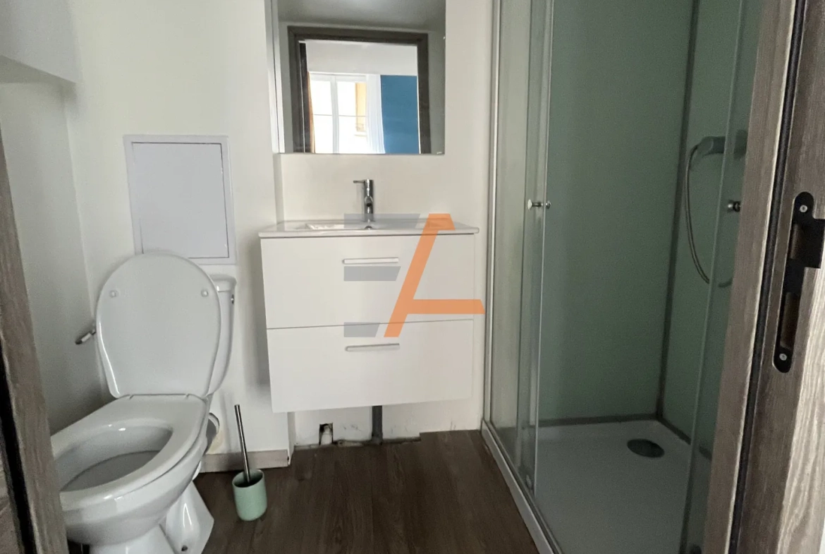 Studio à vendre à Saint-Étienne dans le secteur Tréfilerie - Investissement locatif idéal 