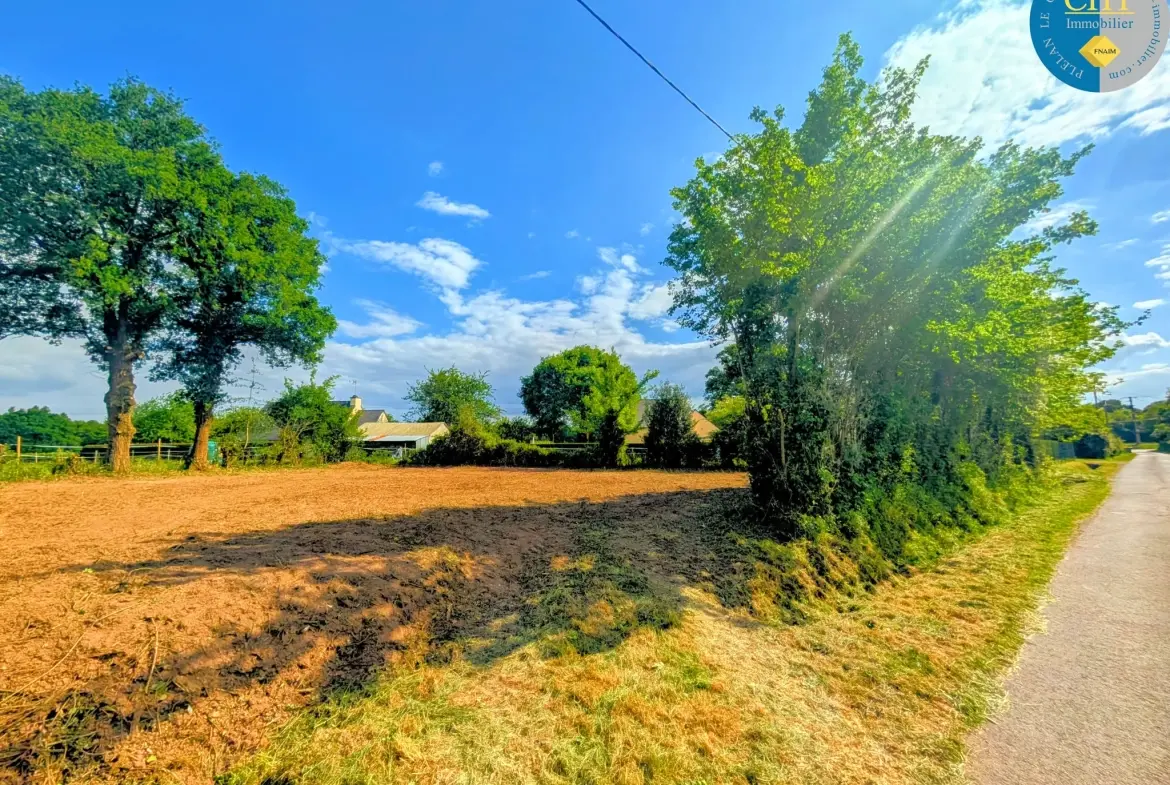 Terrain constructible hors lotissement à Beignon (56), vue dégagée 