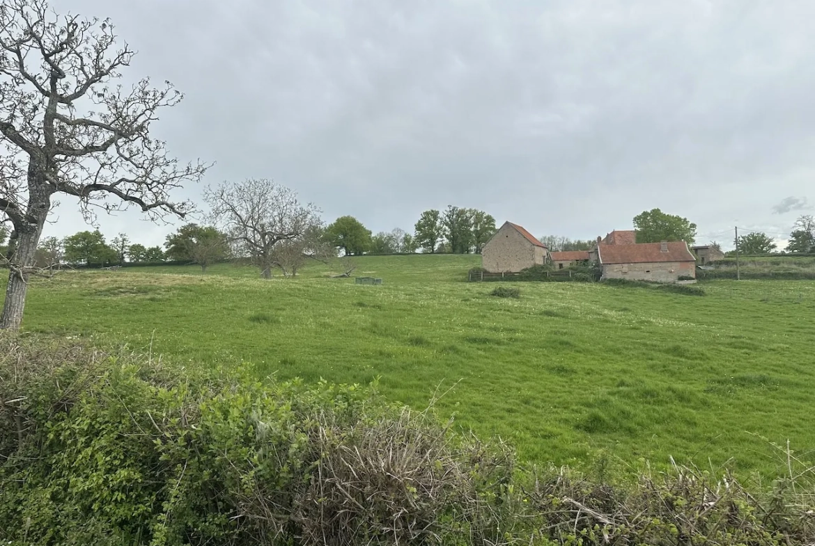 Ancien corps de ferme à rénover avec dépendances et grand terrain à Bourg-le-Comte 
