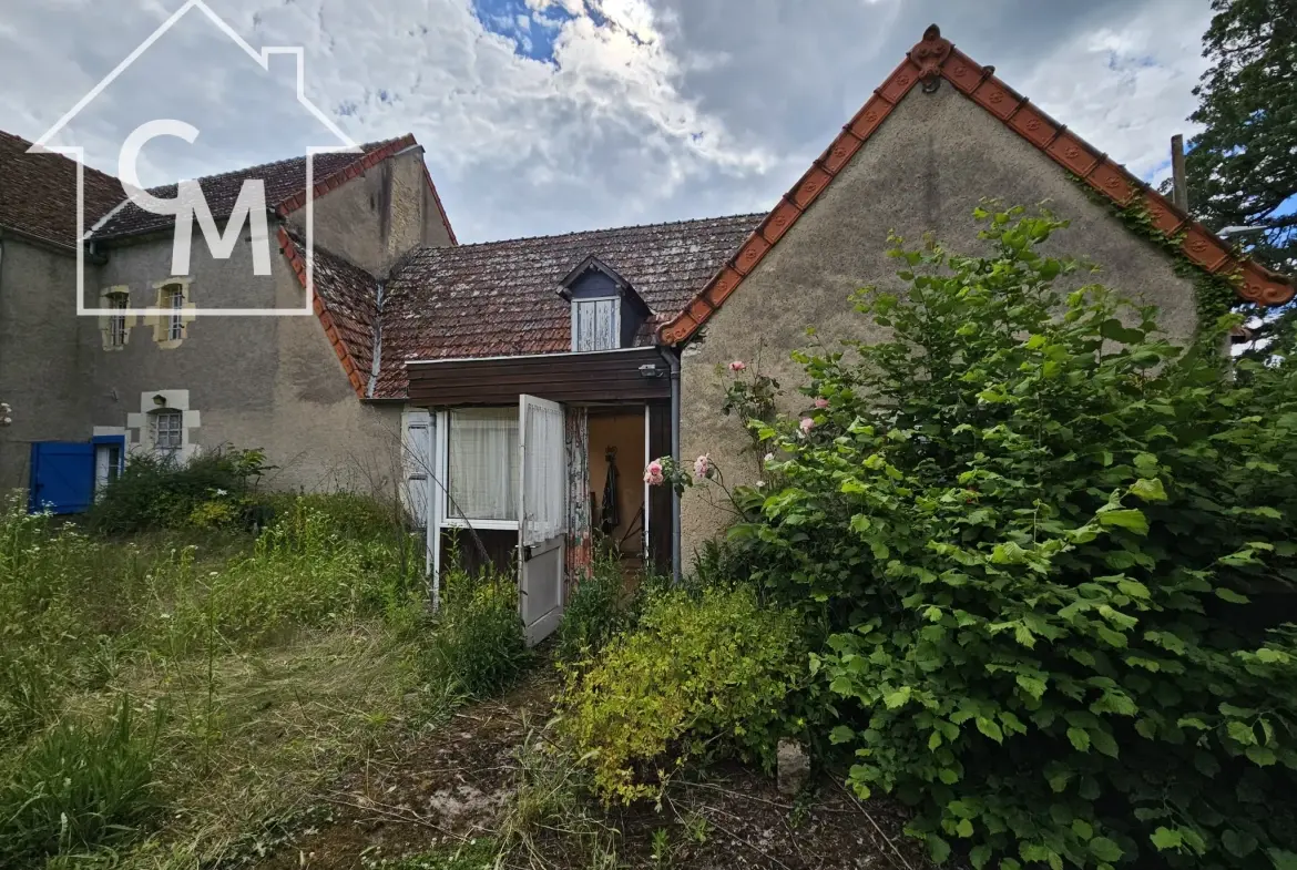 Maison spacieuse de 158 m² avec jardin, garage et dépendances à Pougues-les-Eaux 