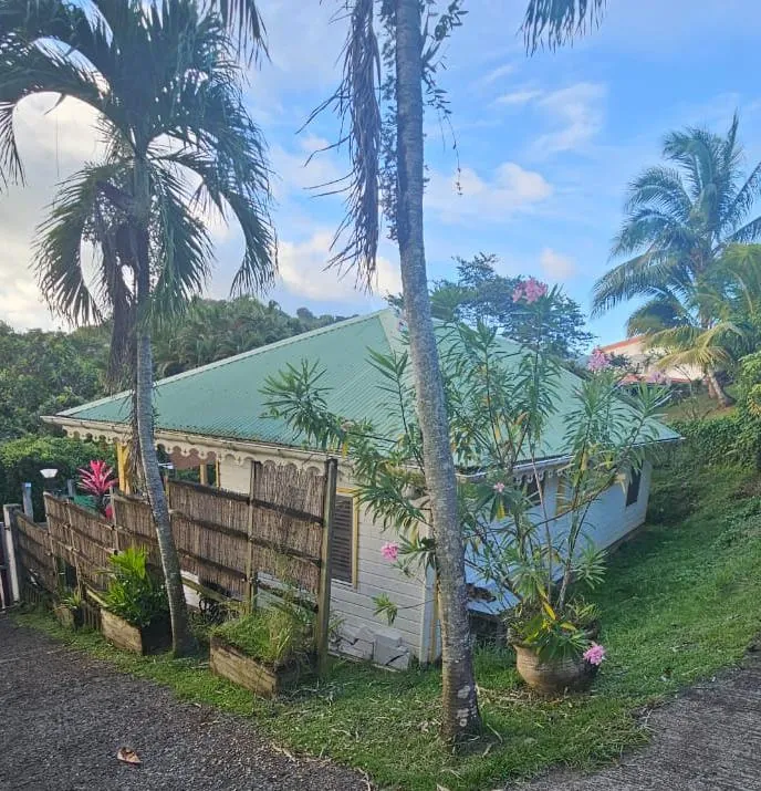 A vendre maison F3 en bois à Ducos, quartier calme, jardin, disponible en 2025 