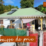 A vendre maison F3 en bois à Ducos, quartier calme, jardin, disponible en 2025