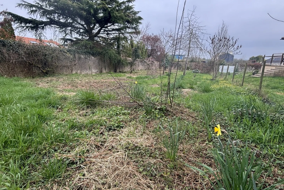 Terrain constructible à vendre à Chemillé - Grande liberté de projet 