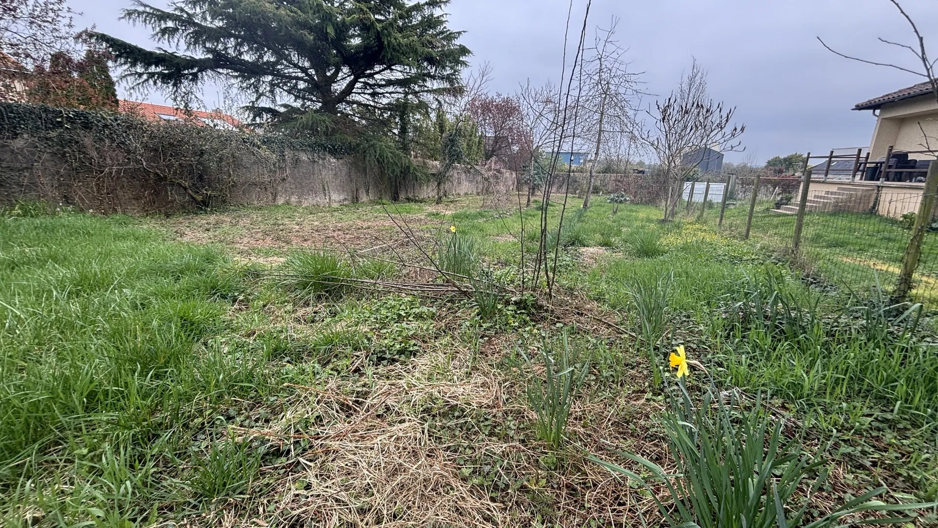 Terrain constructible à vendre à Chemillé - Grande liberté de projet 