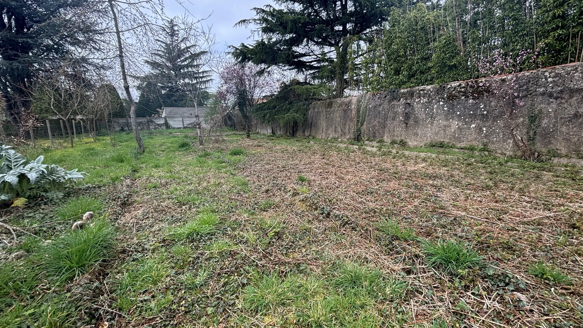 Terrain constructible à vendre à Chemillé - Grande liberté de projet 