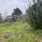 Terrain constructible à vendre à Chemillé - Grande liberté de projet